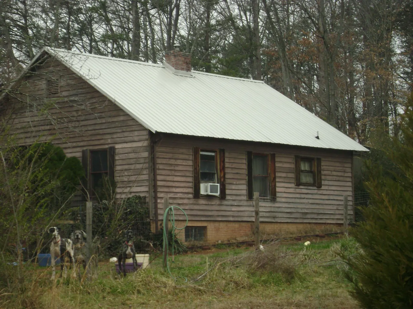 White metal roof on an old wood sided farmhouse, from a Asphalt Shingle Roof Repair job in Shickshinny